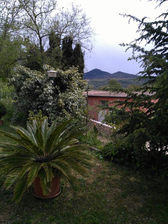 Agriturismo Usurtala Orani Exterior foto